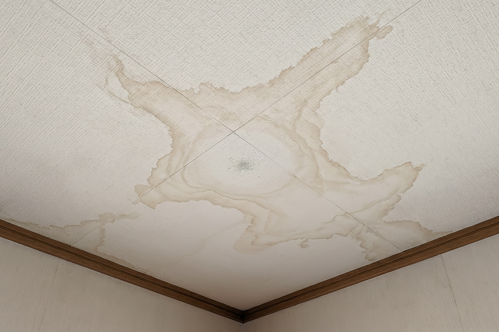 【大阪市】雨漏りする空き家は売却できる？｜修繕不要の買取戦略